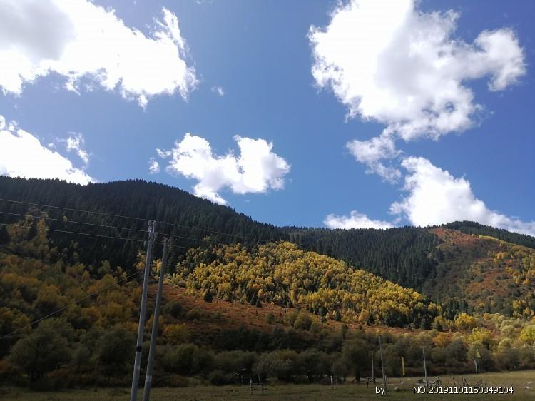 防脱三个月，终于迎来了发量巅峰！瀑布般秀发很有氛围感！
