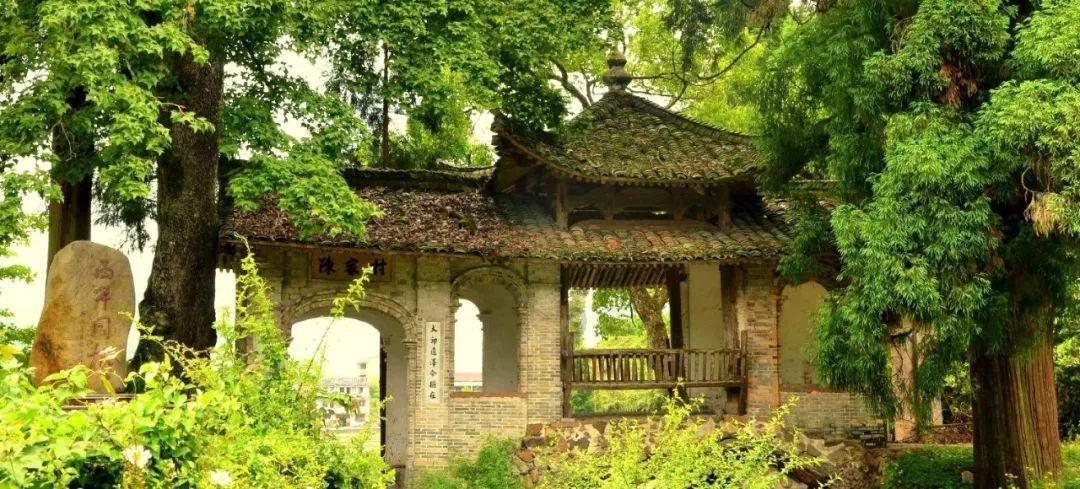 《幻兽帕鲁》爆火后 发行商已在国内注册多个商标