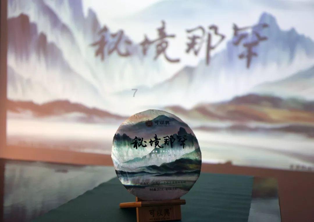 邹敏代表：加强推进青少年心理服务体系建设