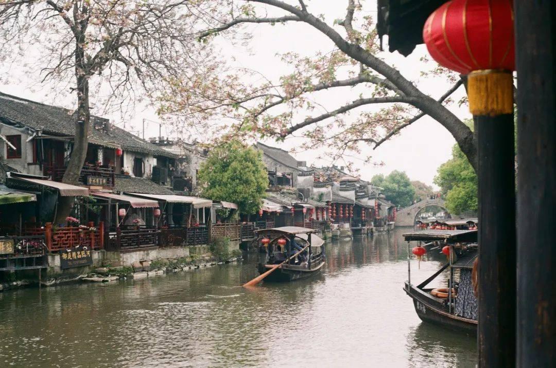 淘气兔救援